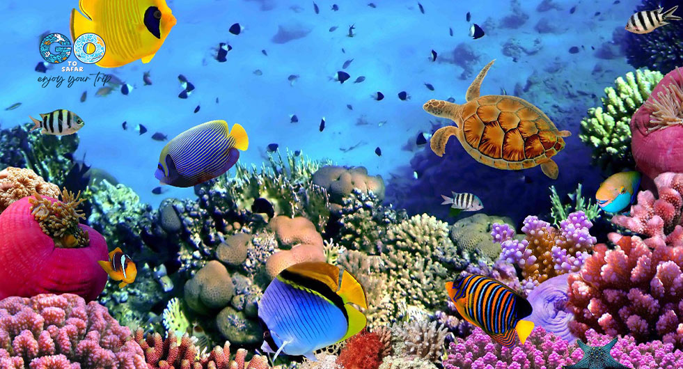 آکواریوم آنتالیا