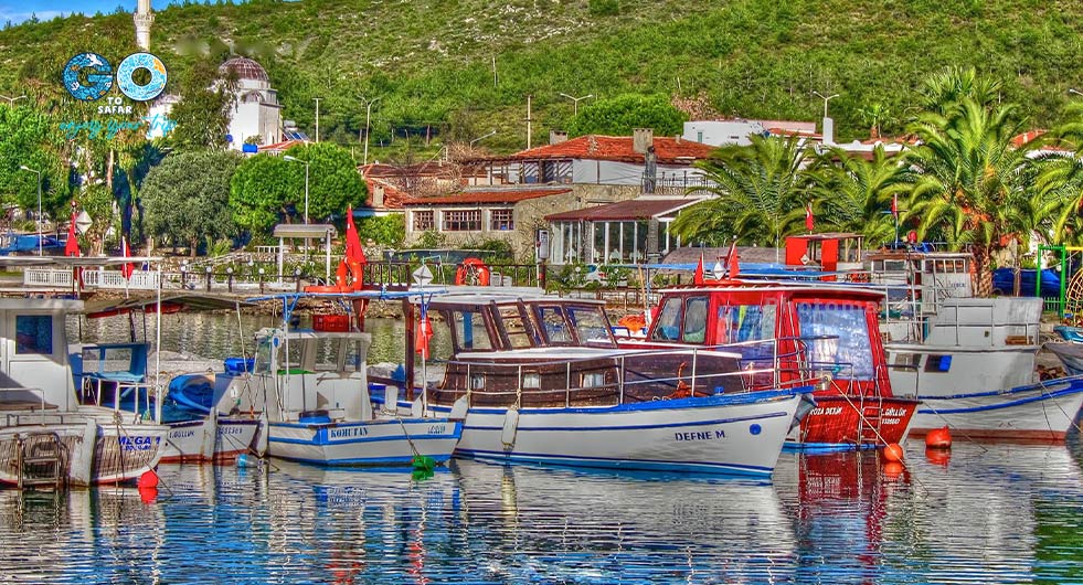 داتچا آکتور