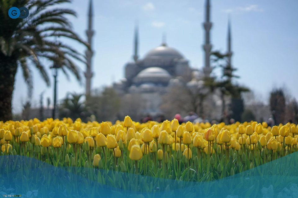 جشنواره لاله استانبول