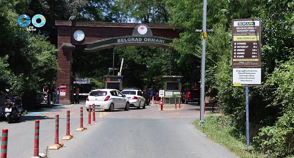 جنگل بلگراد استانبول.jpg